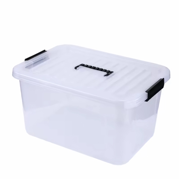 Plastic Transparent Storage Boxes